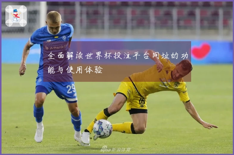全面解读世界杯投注平台网址的功能与使用体验