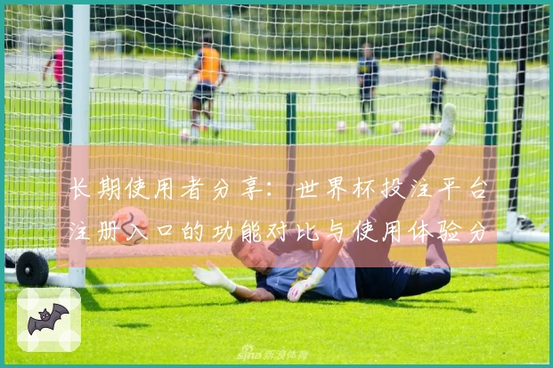 长期使用者分享：世界杯投注平台注册入口的功能对比与使用体验分析