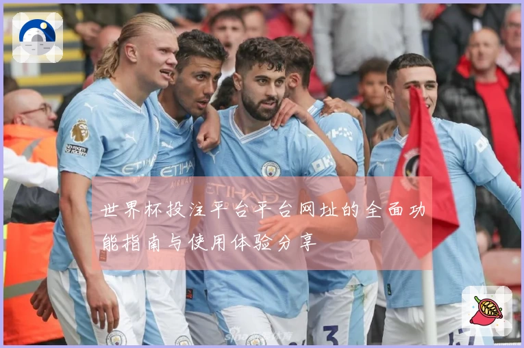 世界杯投注平台平台网址的全面功能指南与使用体验分享