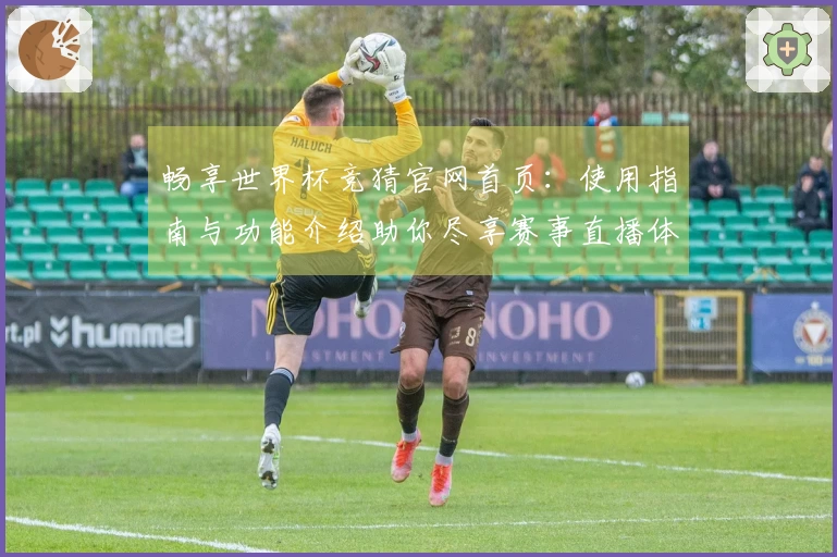 畅享世界杯竞猜官网首页：使用指南与功能介绍助你尽享赛事直播体验