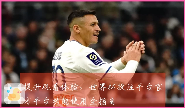 提升观看体验，世界杯投注平台官方平台功能使用全指南