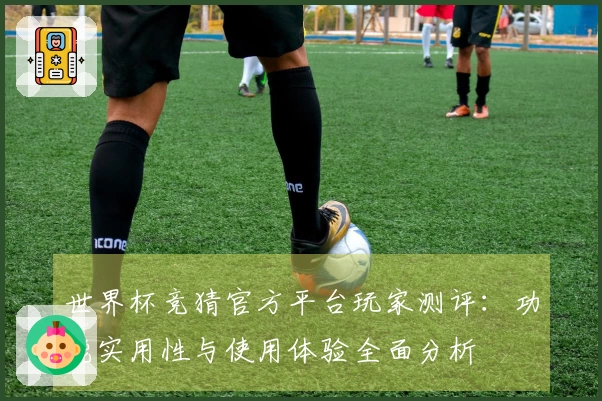 世界杯竞猜官方平台玩家测评：功能实用性与使用体验全面分析