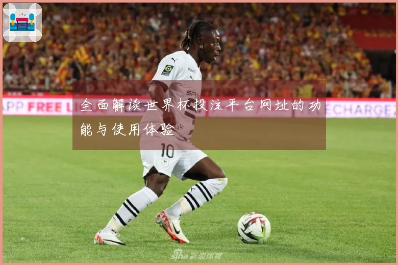 全面解读世界杯投注平台网址的功能与使用体验